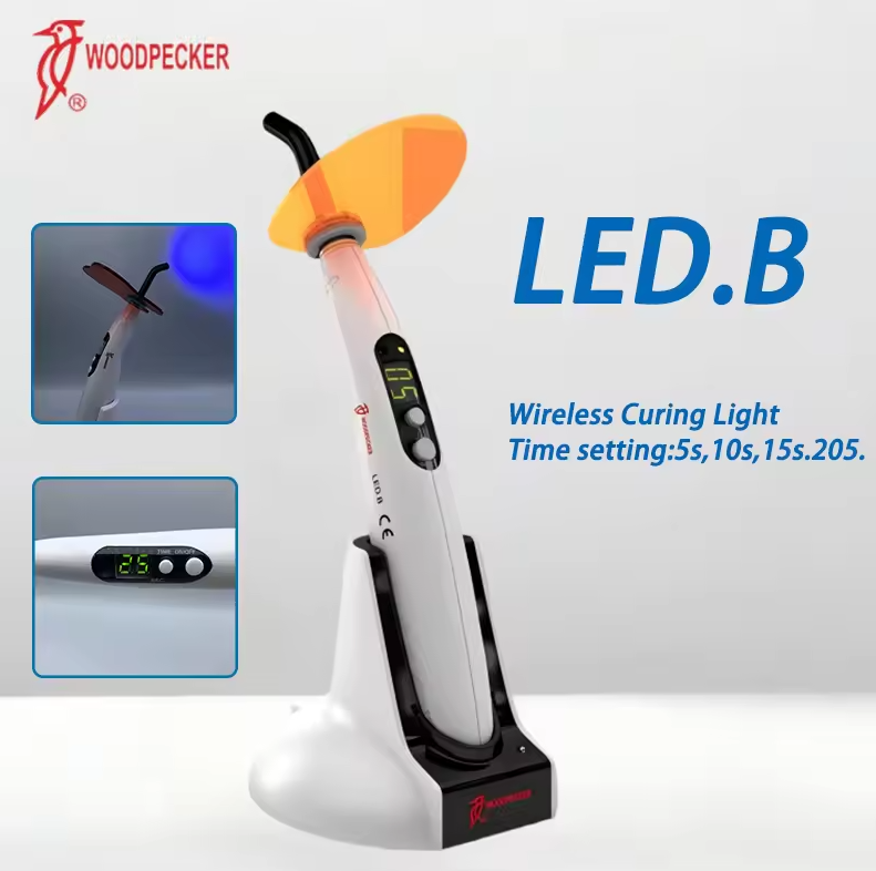 Dental Curing Light Woodpecker - Teeth Whitening Lamp review and price