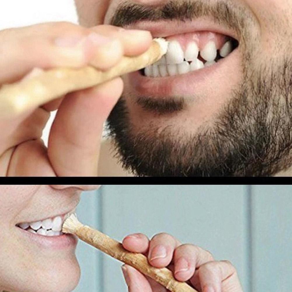 Miswak Siwak Natural Toothbrus - Teeth Whitening Natural review and price