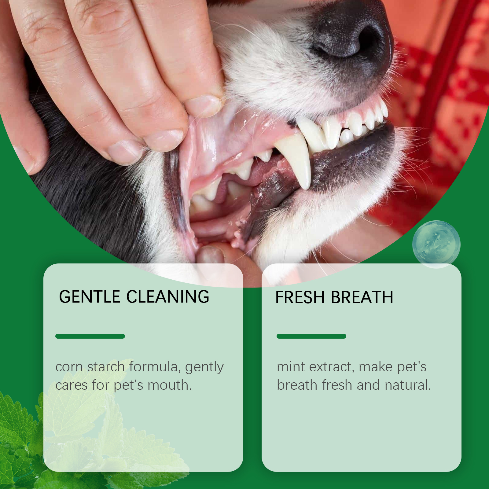Pet Teeth Cleaning Powder Redu - Teeth Whitening App review and price