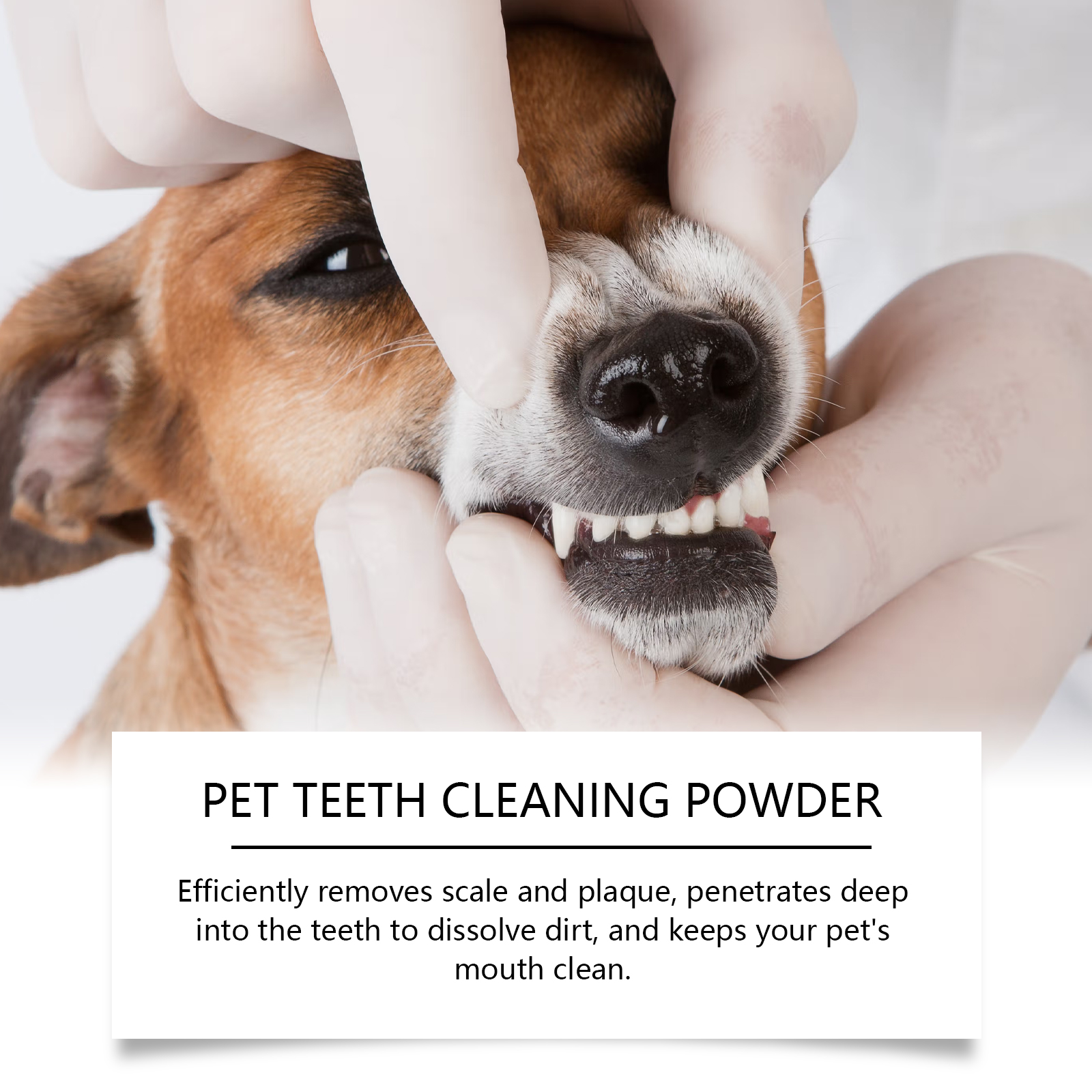 Pet Teeth Cleaning Powder Redu - Teeth Whitening App review and price